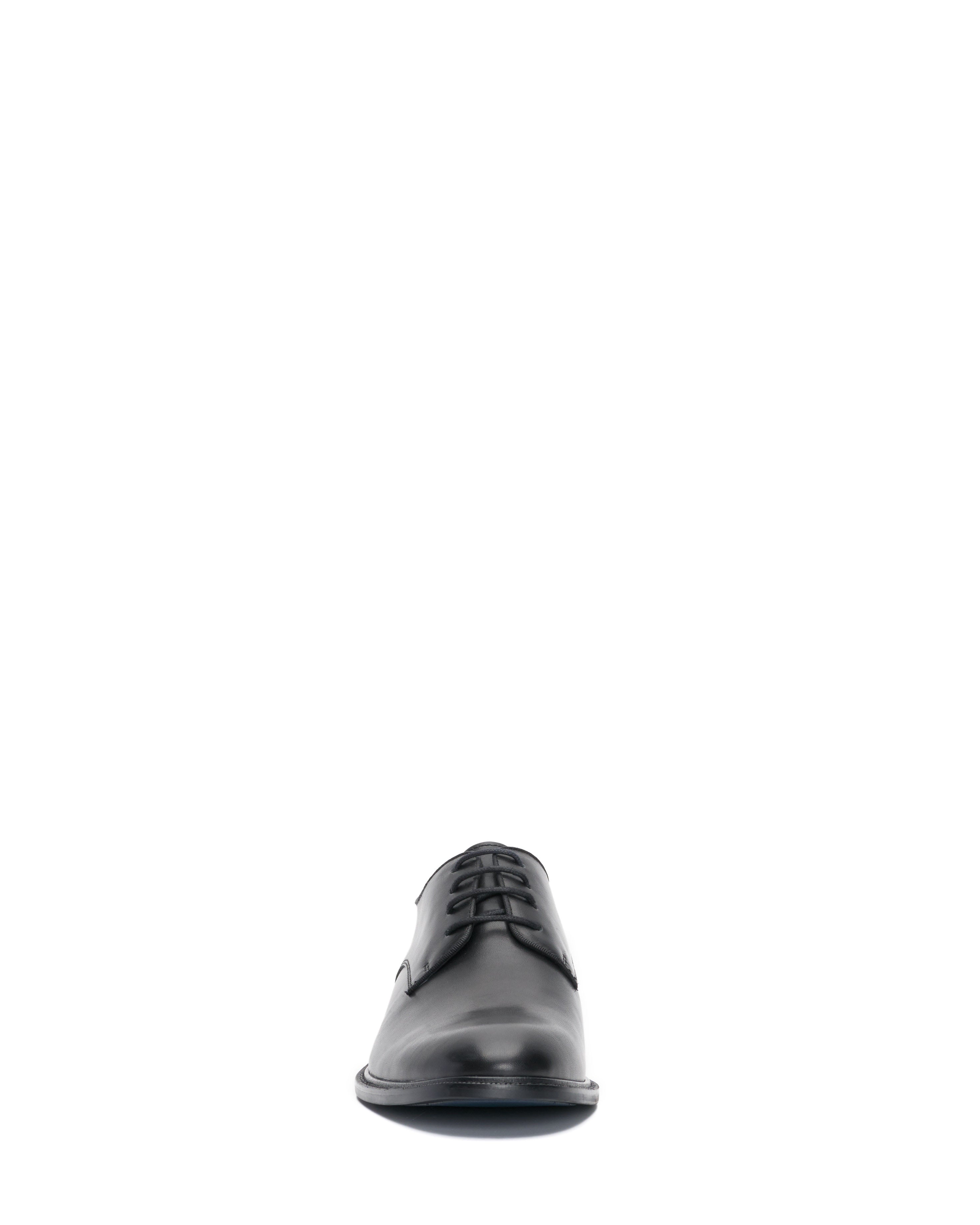 Men's Lyre Derby